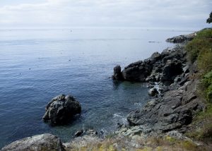 rocks